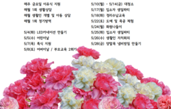 21년 5월 프로그램 및 행사