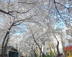 운동 프로그램 : 산책